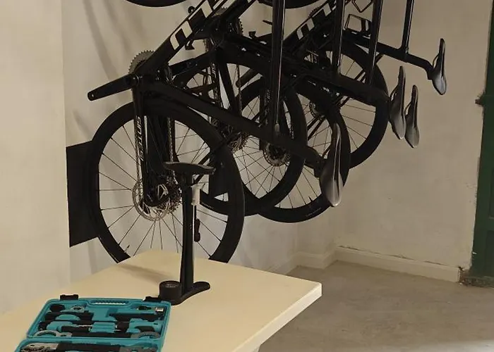 Albercutx Pollentia 1 2 3 *